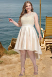 Selena A-line Scoop Asymmetrical Lace Taffeta Tulle Homecoming Dress STGP0020592