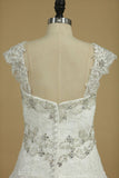 2024 Straps A Line Wedding Dresses With PH6N4S9X