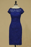 2024 Dark Royal Blue Evening Dresses Off The Shoulder With Applique Lace PF1AZJ87