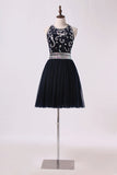 2024 Halter Prom Dress Beaded Bodice A Line Tulle P9G6NMLY