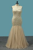 2024 Sweetheart Mermaid Prom Dress Modest Beaded And Fitted Bodice P56EZB1D