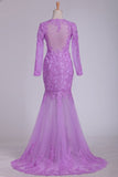 2024 Long Sleeves Scoop Prom Dresses Tulle With Applique PDBY9MNP