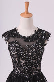 2024 Black Scoop Short/Mini Homecoming Dresses A Line Tulle With Applique And PDA6NT6M