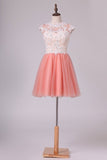 2024 Homecoming Dresses A Line High Neck Tulle With PJ1HFMAL
