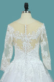 2024 A Line 3/4 Length Sleeves Tulle Scoop Wedding Dresses P49T4DGE