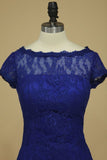 2024 Dark Royal Blue Evening Dresses Off The Shoulder With Applique Lace PF1AZJ87