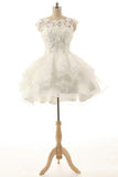 2024 A Line Homecoming Dresses Scoop Organza With PTZNQCZ5