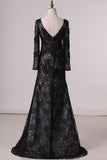 2024 Mother Of The Bride Dresses V Neck Long Sleeves Lace With P4EKY764
