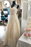 Pink A Line Court Train V Neck Sleeveless Lace Appliques Wedding Dresses