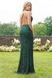 2024 Sexy Trumpet/Mermaid Sequins Open Back PPD9YKD9