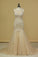 2022 Plus Size See-Through Scoop Mermaid Prom Dresses Tulle With Applique And PKMJ1CMJ