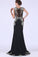 2022 Prom Dresses Mermaid Scoop Spandex With Applique PL45T1SR