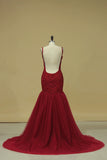 2024 Spaghetti Straps With Applique Prom Dresses Tulle Sweep PJNT22HH