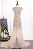 2022 Mermaid Scoop Wedding Dresses Tulle With Applique Court Train P6NT9PTN