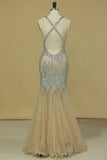 2024 Halter Prom Dresses Mermaid Tulle With Beading Floor P4JZSR5X
