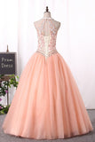 2024 Quinceanera Dresses Ball Gown High Neck Tulle With PQM23E9S