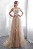 Gorgeous A-line Prom Dress Champagne Applique Long Evening Dress