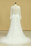 2022 Plus Size V-Neck Long Sleeves Wedding Dresses With Applique P49MY93H