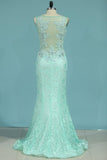 2022 Prom Dresses Mermaid Scoop With Applique And P2524PC1