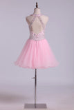2024 Homecoming Dresses Scoop A Line Tulle With P4J9TSLD
