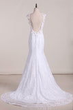 2024 Graceful Lace Wedding Dress V Neck Backless A Line With PPTAE7JR
