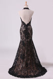 2024 Black Halter Prom Dresses Mermaid Lace Floor Length Open P26T6GPB