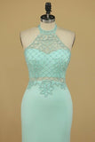 2024 Spandex Mermaid Prom Dresses With PNLSRTHE