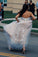 A Line Sweetheart Lace Appliques Strapless Long Prom Dresses Sexy Evening Dresses