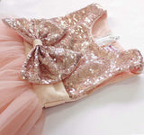 Little Girls Sequin Mesh Tulle Baby Dress Flower Girl Ball Gown Party Dress Prom