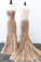 Pretty Spaghetti Straps Long Mermaid Backless Lace Elegant Prom Dresses