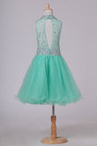 2024 Homecoming Dresses High Neck A Line Short/Mini Beaded Bodice Tulle Open P2X5D1GC