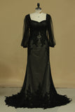 2024 Evening Dresses Long Sleeve Tulle Sheath/Column With Applique Sweep PQ3Z6JDT