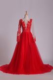 2024 Scoop Prom Dresses Long Sleeves Tulle With Slit And Applique PA539RCY