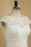 2024 Scoop A Line Wedding Dresses Lace With PHRJ56B3