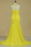 2022 Prom Dress Halter Pleated Bust & Bodice With Shirred Chiffon Skirt Sweep PH6L3QP8