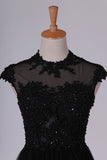2024 Black Prom Dresses Scoop Tulle With Beads & Applique PT5334NN
