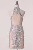 2024 Short/Mini High Neck Prom Dresses Tulle PQ6XHZQ8