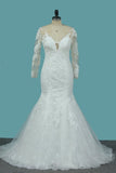 2024 Lace Mermaid V Neck Long Sleeve Wedding Dresses PPL7XFXP
