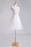 2024 Homecoming Dresses Scoop Short/Mini A Line Tulle With Applique And PF1GEB4Z