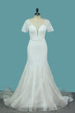2024 Short Sleeve Wedding Dresses Tulle Mermaid With Applique And PAG5EZEN