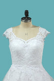 2024 A Line Straps Wedding Dresses Tulle With Applique P1C96Q5C