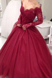 2024 Long Sleeves Tulle Prom Dresses A Line With Applique P5XQJDAR