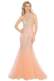 2024 High Neck Tulle With Applique Mermaid Prom Dresses PDDZ22XE