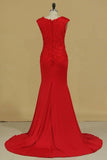 2024 Mother Of The Bride Dresses V Neck With Applique Spandex Sweep Train PHNH4LCJ