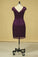2022 Plus Size Grape Modest Lace Evening Dresses V-Neck Sheath/Column With Applique And P14YNPCN