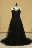 2024 Evening Dresses Scoop Mermaid Tulle With Applique Sweep/Brush PC25E43Z