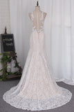 2022 New Arrival Wedding Dresses Mermaid Scoop Lace With Applique PED258AN