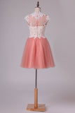 2024 Homecoming Dresses A Line High Neck Tulle With PJ1HFMAL