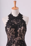 2024 Black Halter Prom Dresses Mermaid Lace Floor Length Open P26T6GPB