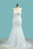 2024 Mermaid Spaghetti Straps Wedding Dresses Open Back Lace PHS9E3Z7